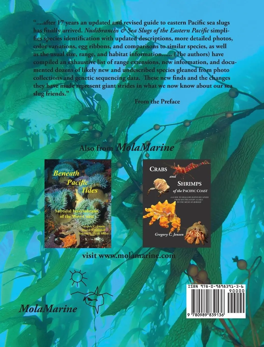 Rückseite: 9780989839136 | Nudibranchs &amp; Sea Slugs of the Eastern Pacific | Behrens (u. a.)