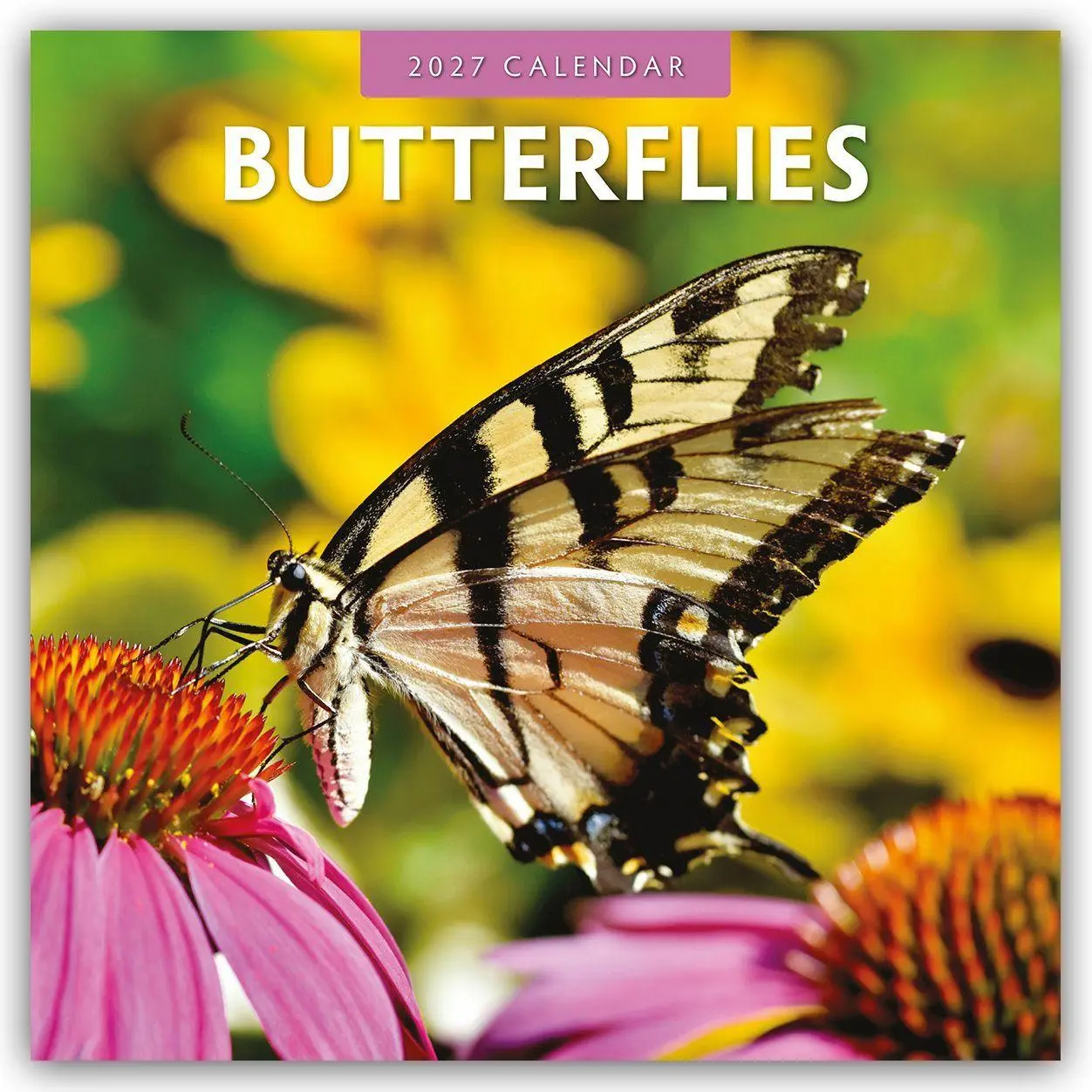 Cover: 9781804429136 | Butterflies - Schmetterlinge 2027 - 16-Monatskalender | Robin Red