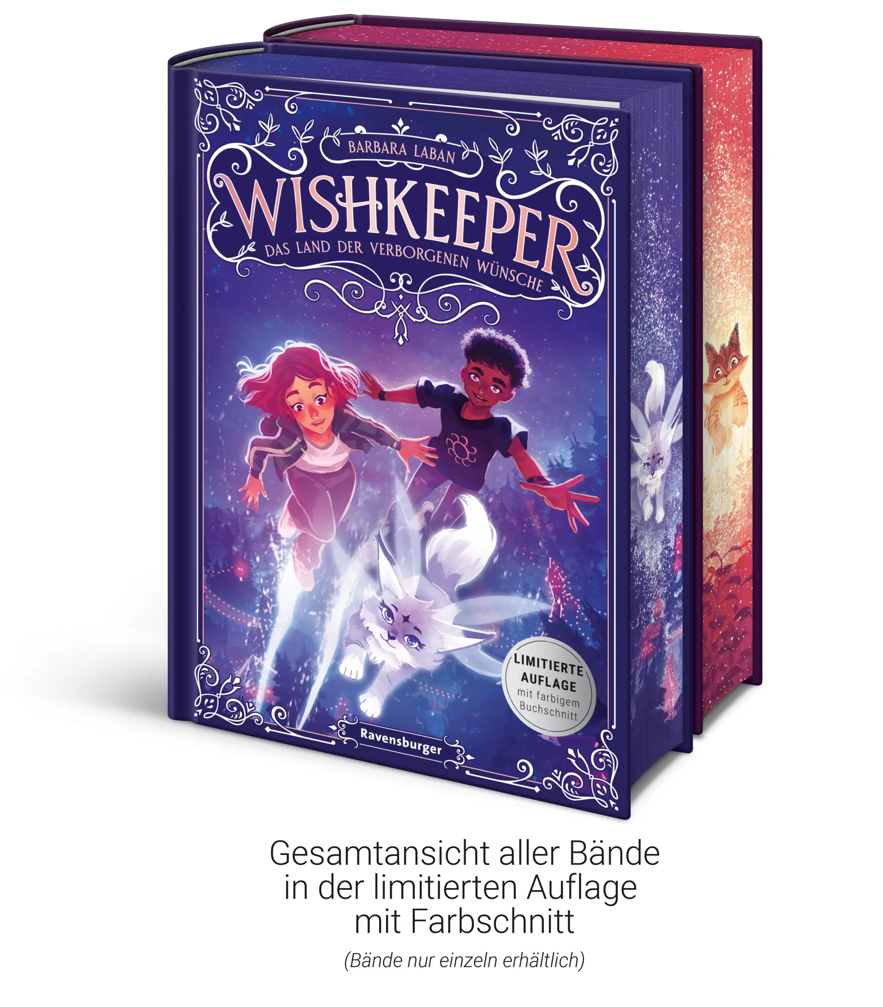 Bild: 9783473409136 | Wishkeeper, Band 1 - Das Land der verborgenen Wünsche | Barbara Laban