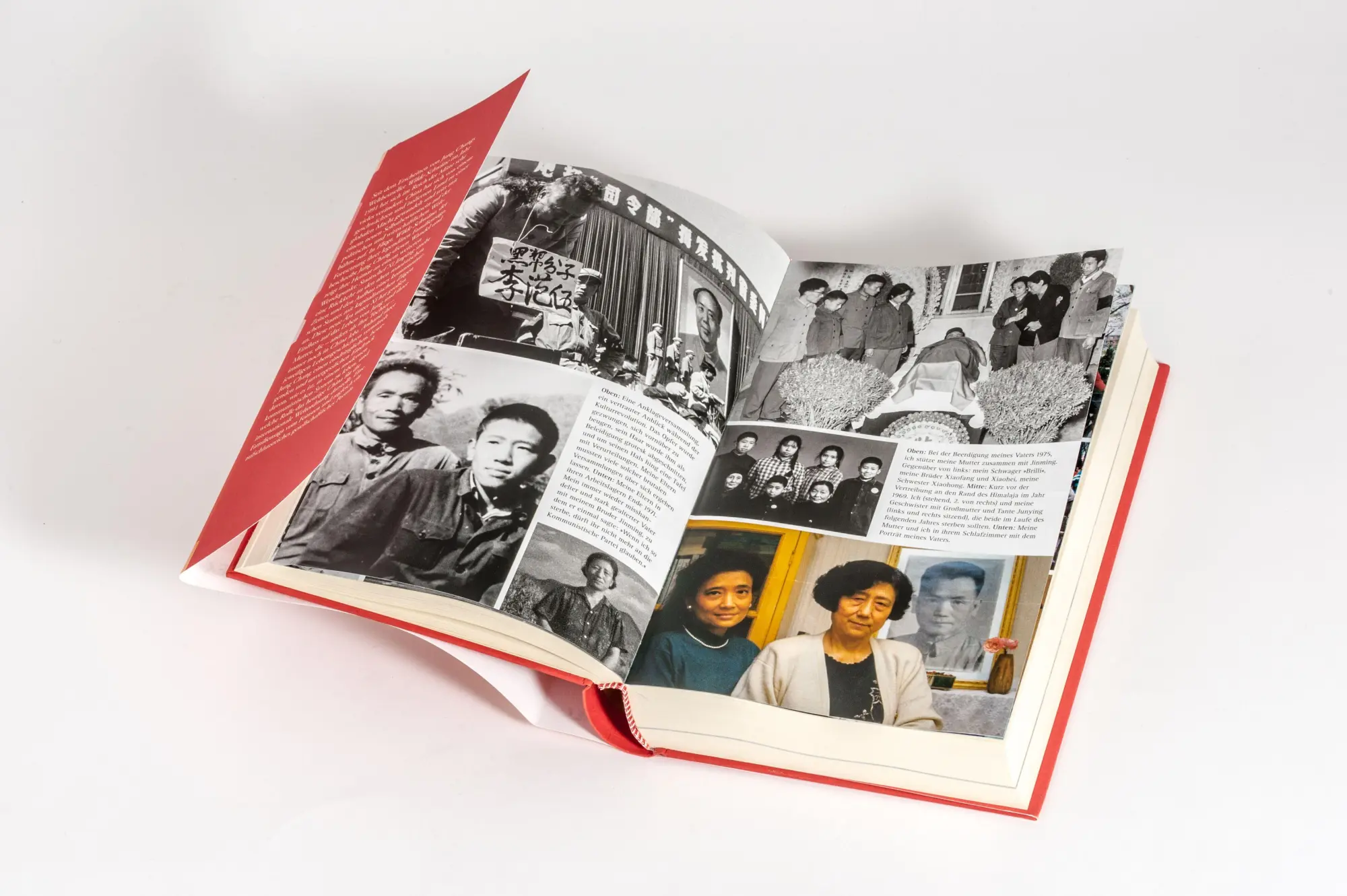 Bild: 9783453219236 | Fliegt, Wilde Schwäne | Jung Chang | Buch | 400 S. | Deutsch | 2026