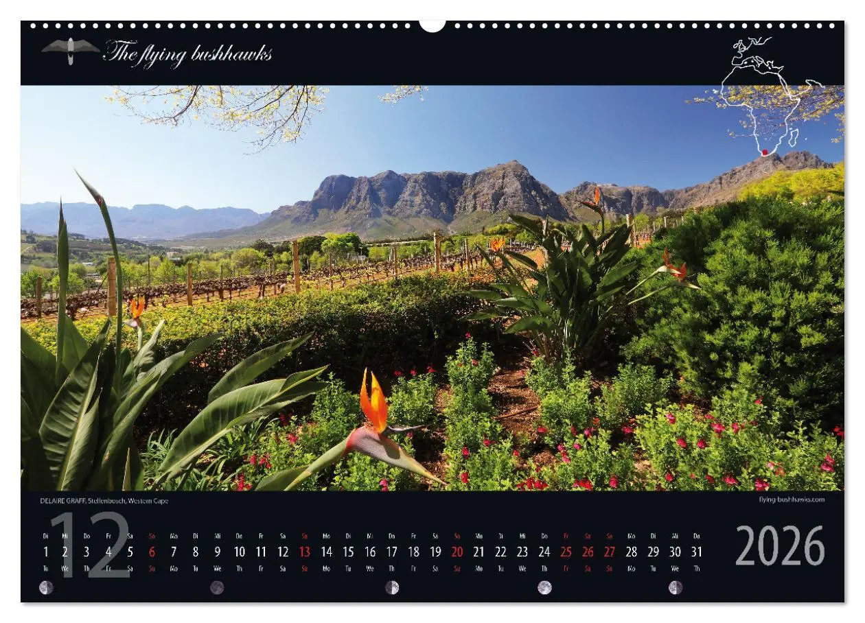 Bild: 9783457279236 | Wein &amp; Architektur 2026 (Wandkalender 2026 DIN A2 quer), CALVENDO...