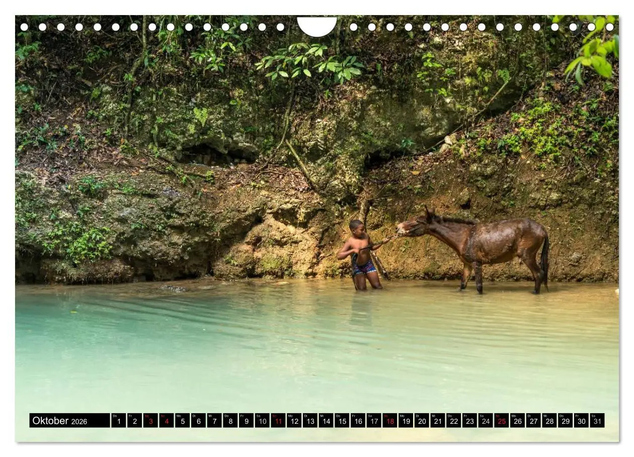 Bild: 9783457959336 | Dominikanische Republik (Wandkalender 2026 DIN A4 quer), CALVENDO...