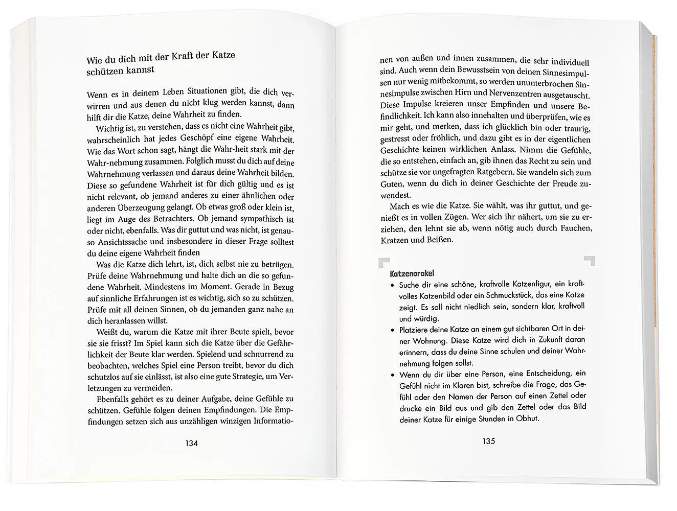 Bild: 9783426879436 | Beschützt von meinem Krafttier | Regula Meyer | Taschenbuch | 224 S.