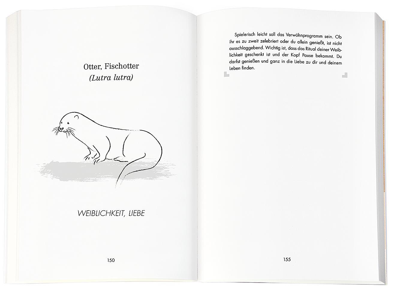 Bild: 9783426879436 | Beschützt von meinem Krafttier | Regula Meyer | Taschenbuch | 224 S.