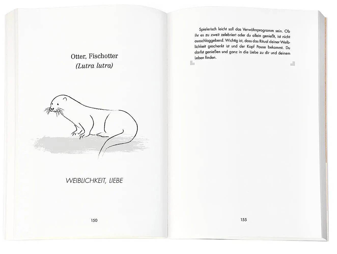 Bild: 9783426879436 | Beschützt von meinem Krafttier | Regula Meyer | Taschenbuch | 224 S.