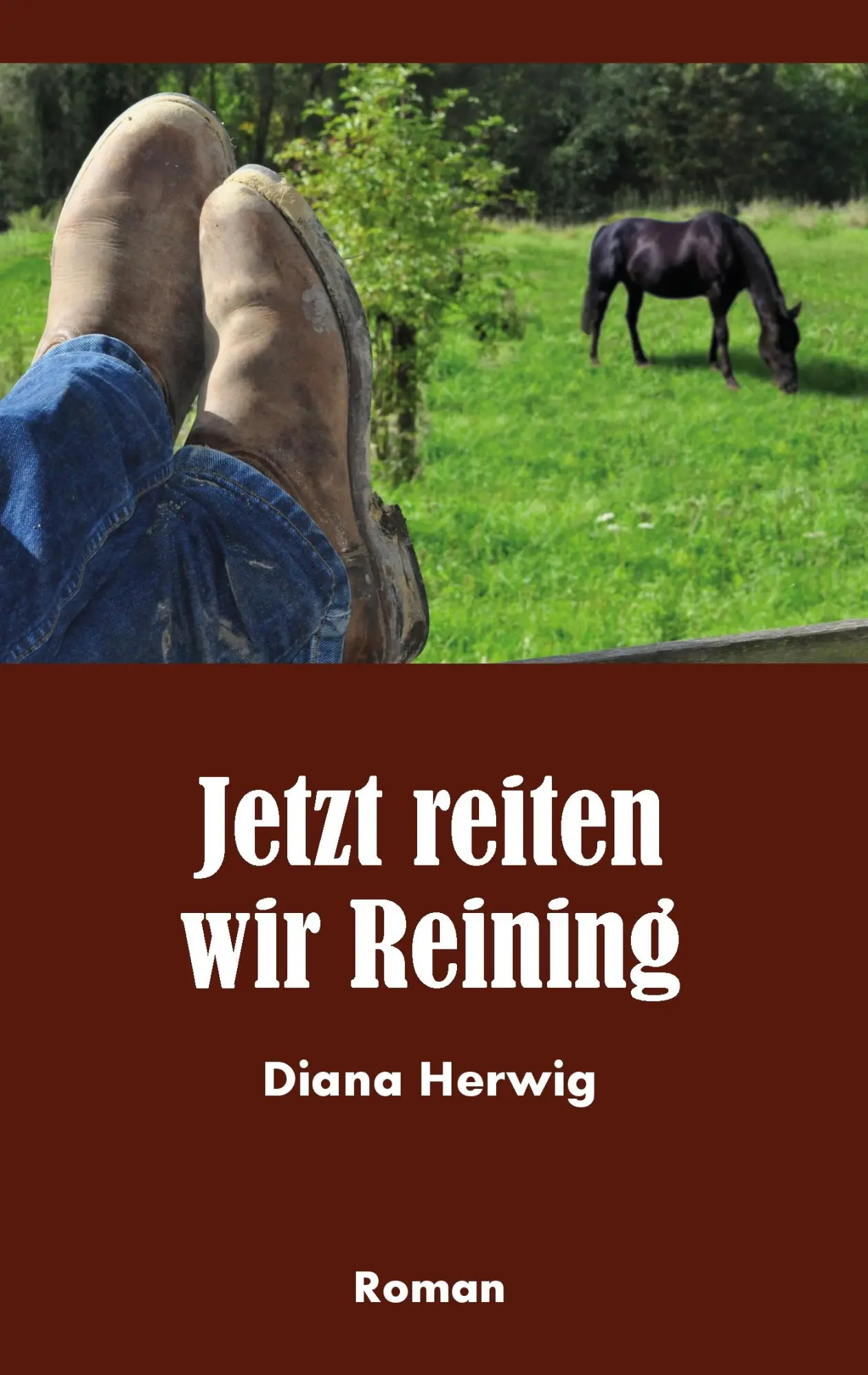 Cover: 9783732239436 | Jetzt reiten wir Reining | Diana Herwig | Taschenbuch | 164 S. | 2013