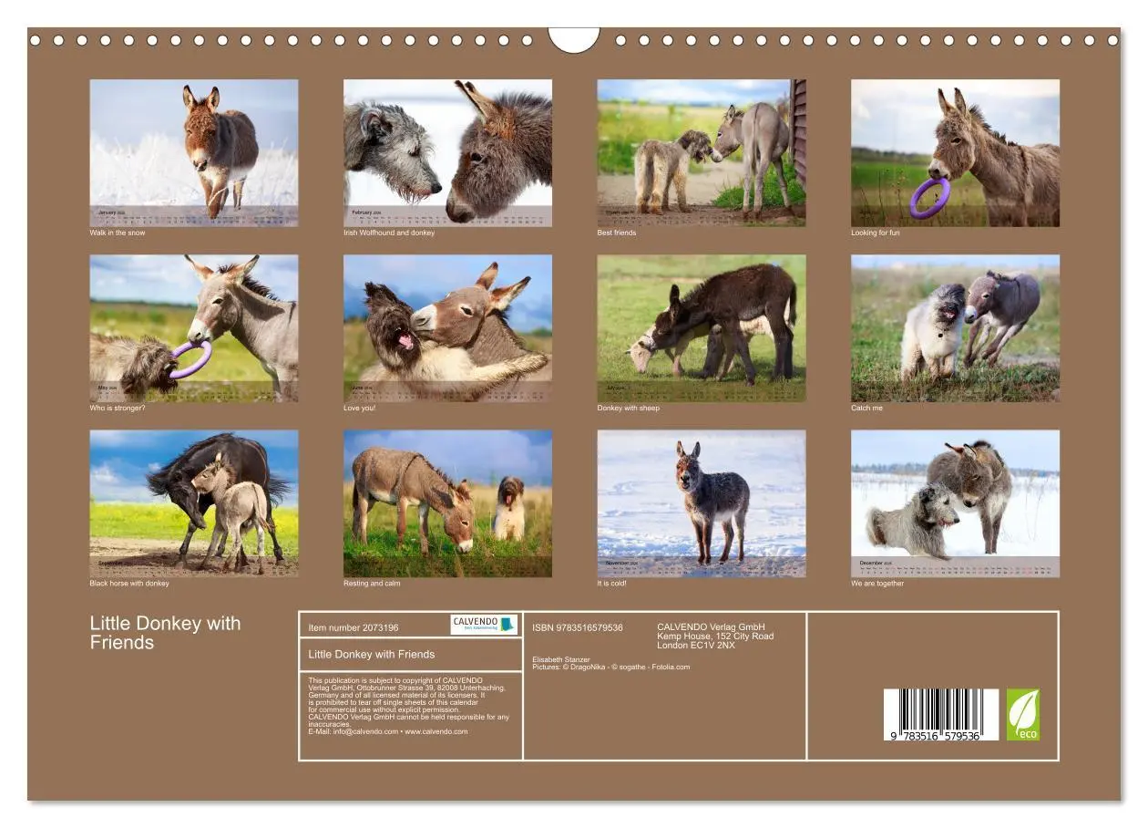 Bild: 9783516579536 | Little Donkey with Friends (Wall Calendar 2026 DIN A3 landscape),...