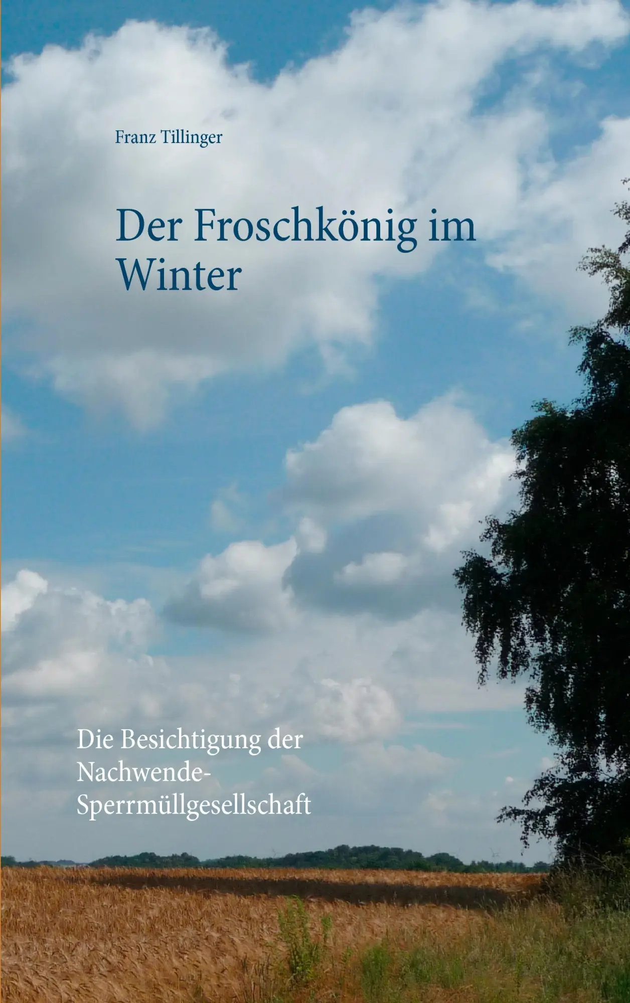 Cover: 9783833449536 | Der Froschkönig im Winter | Franz Tillinger | Taschenbuch | 512 S.