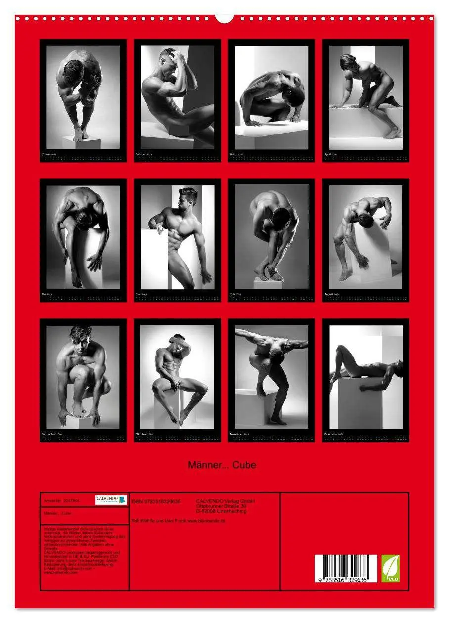 Bild: 9783516329636 | Männer... Cube (hochwertiger Premium Wandkalender 2026 DIN A2...
