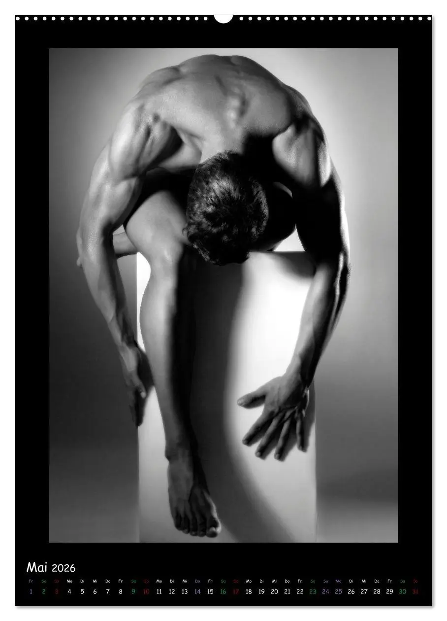 Bild: 9783516329636 | Männer... Cube (hochwertiger Premium Wandkalender 2026 DIN A2...