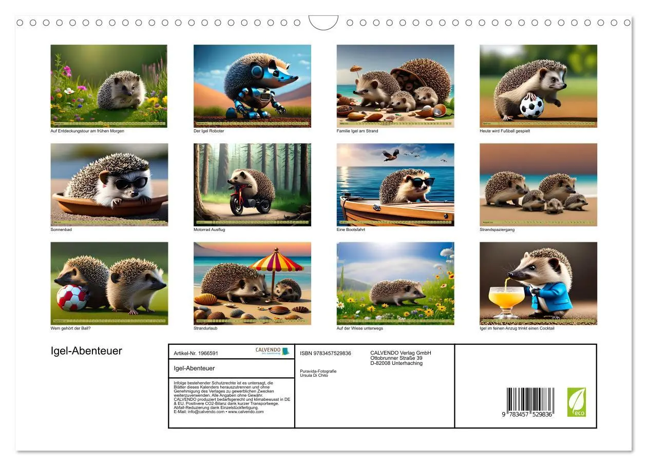 Bild: 9783457529836 | Igel-Abenteuer (Wandkalender 2026 DIN A3 quer), CALVENDO...