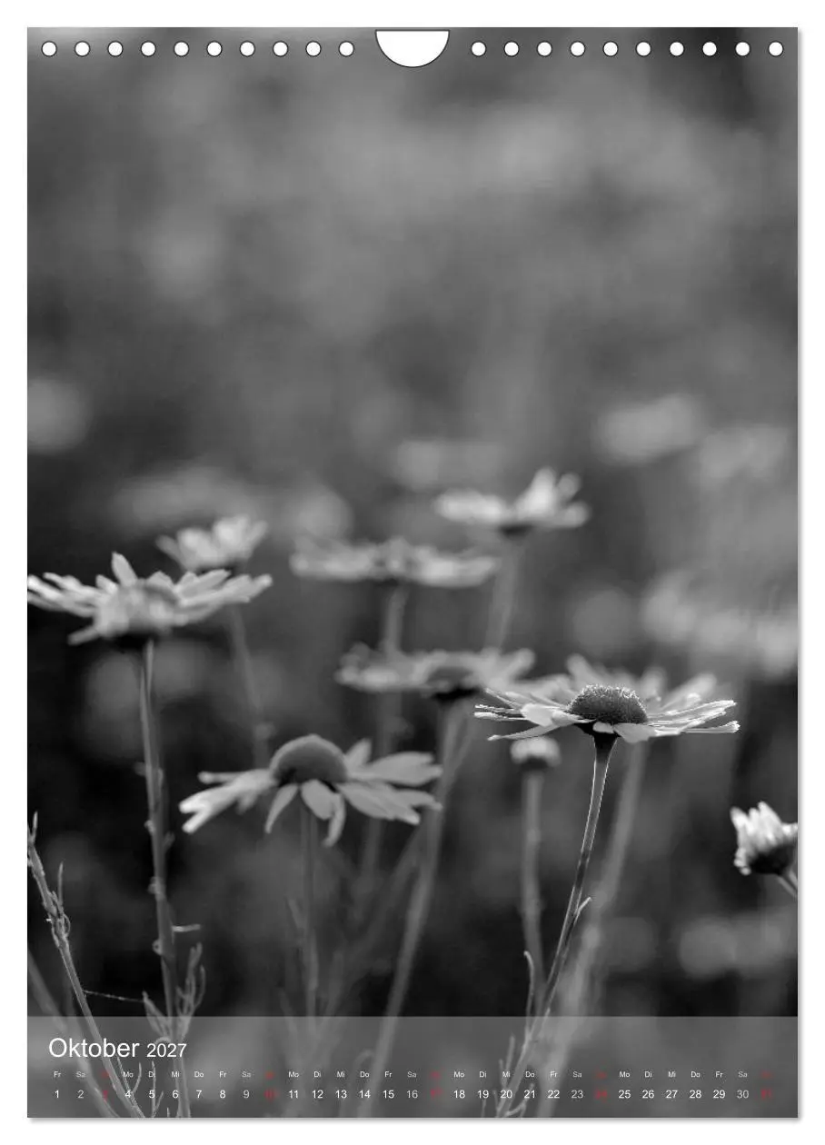 Bild: 9783569949836 | Monochrome Blüten - In Schwarz-Weiß Bildern durch das Jahr...