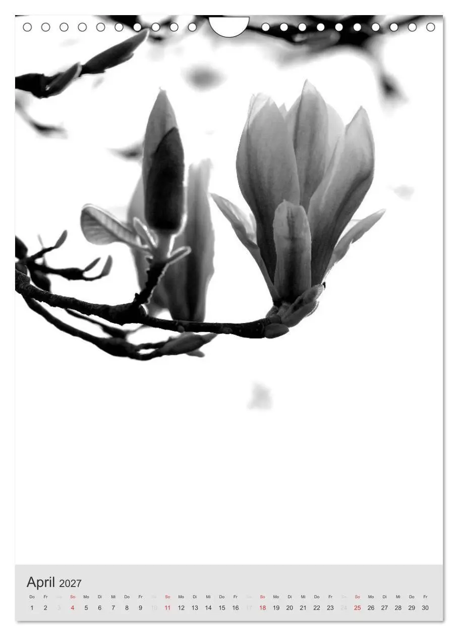 Bild: 9783569949836 | Monochrome Blüten - In Schwarz-Weiß Bildern durch das Jahr...