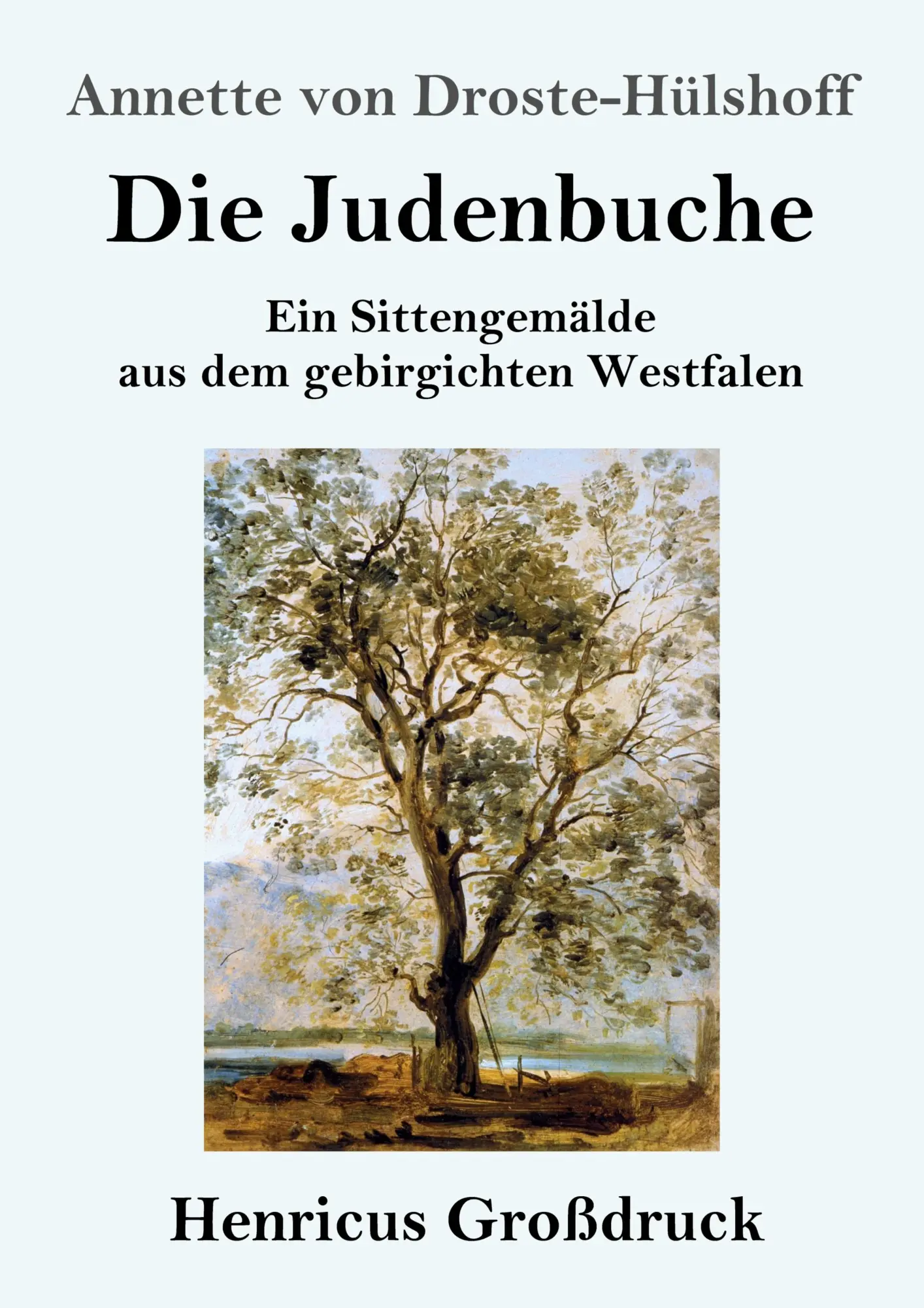 Cover: 9783847829836 | Die Judenbuche (Großdruck) | Annette von Droste-Hülshoff | Taschenbuch