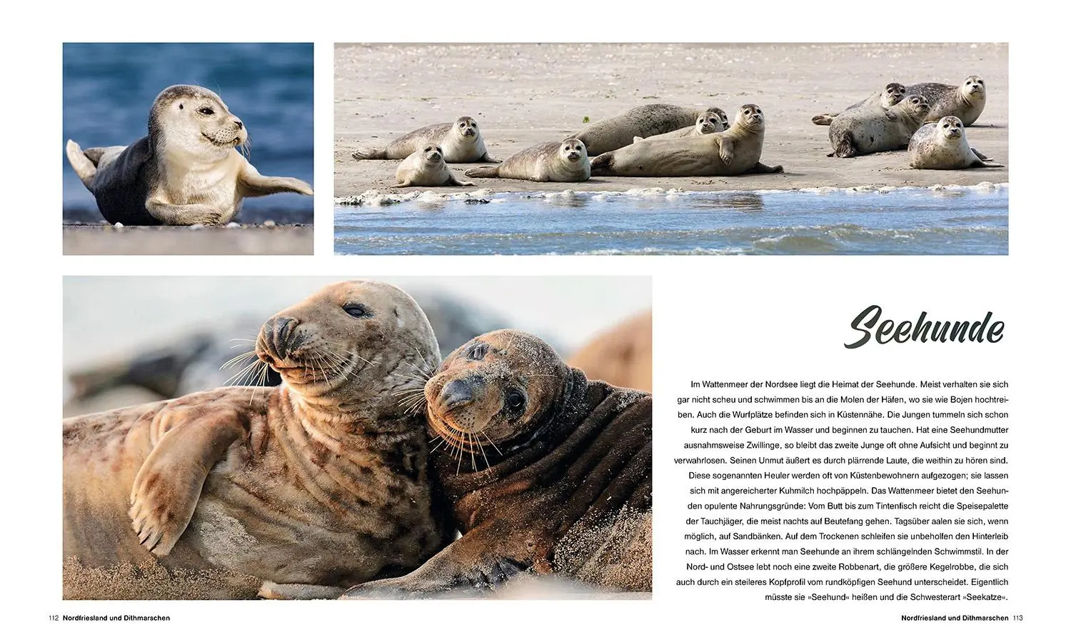 Bild: 9783955049836 | Küstenliebe | Kleine Auszeiten an Deutschlands Nord- und Ostsee | Buch