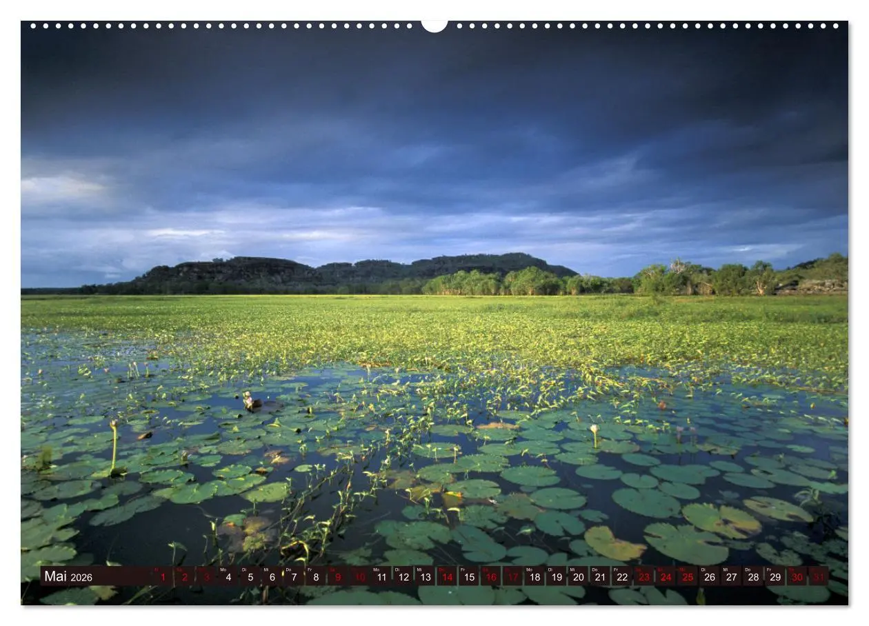 Bild: 9783457379936 | Traumpfade Australien (Wandkalender 2026 DIN A2 quer), CALVENDO...