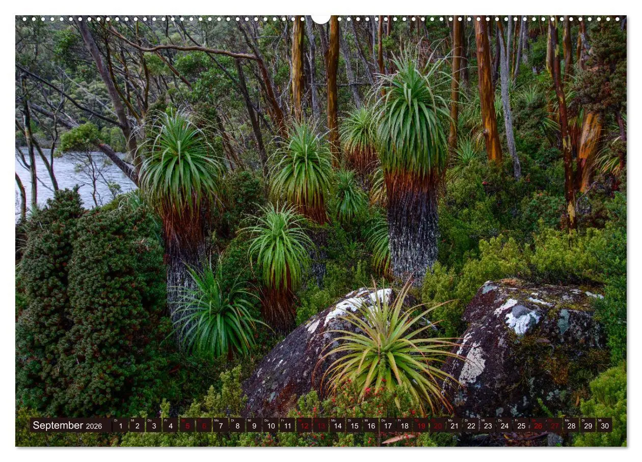 Bild: 9783457379936 | Traumpfade Australien (Wandkalender 2026 DIN A2 quer), CALVENDO...