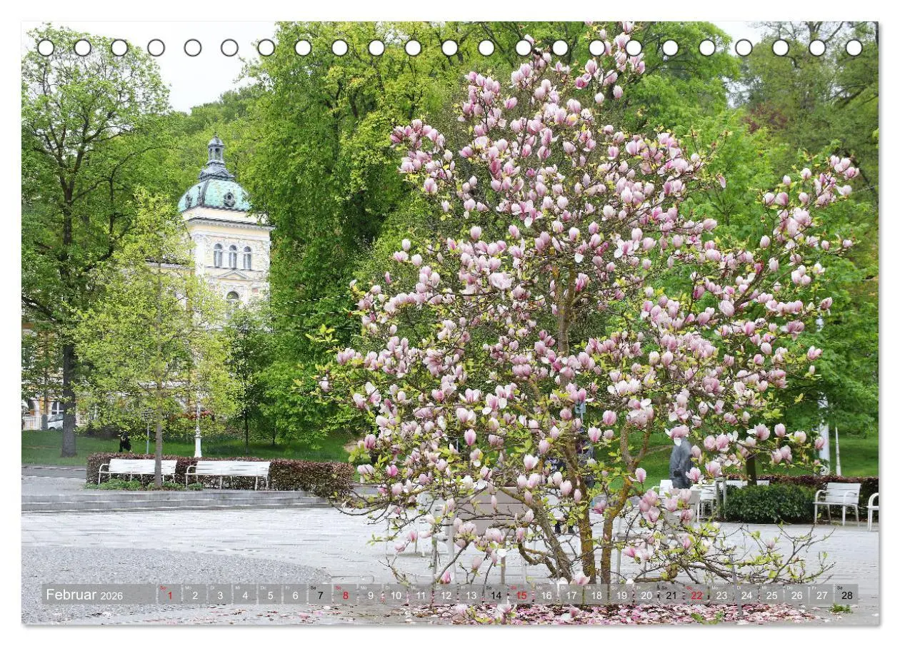 Bild: 9783457519936 | Marienbad in Tschechien (Tischkalender 2026 DIN A5 quer), CALVENDO...