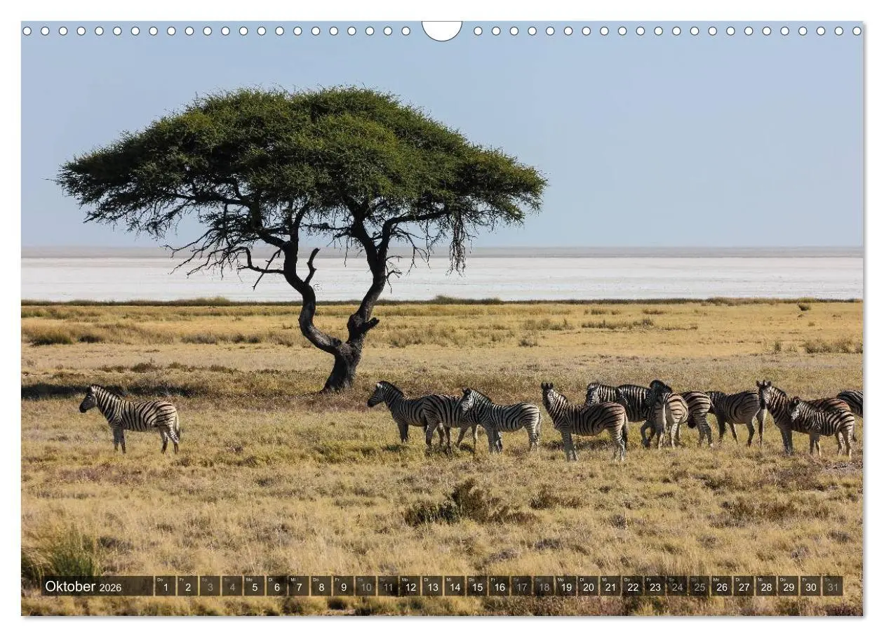 Bild: 9783516159936 | Wildes Namibia (Wandkalender 2026 DIN A3 quer), CALVENDO...