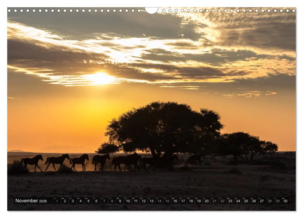Bild: 9783516159936 | Wildes Namibia (Wandkalender 2026 DIN A3 quer), CALVENDO...