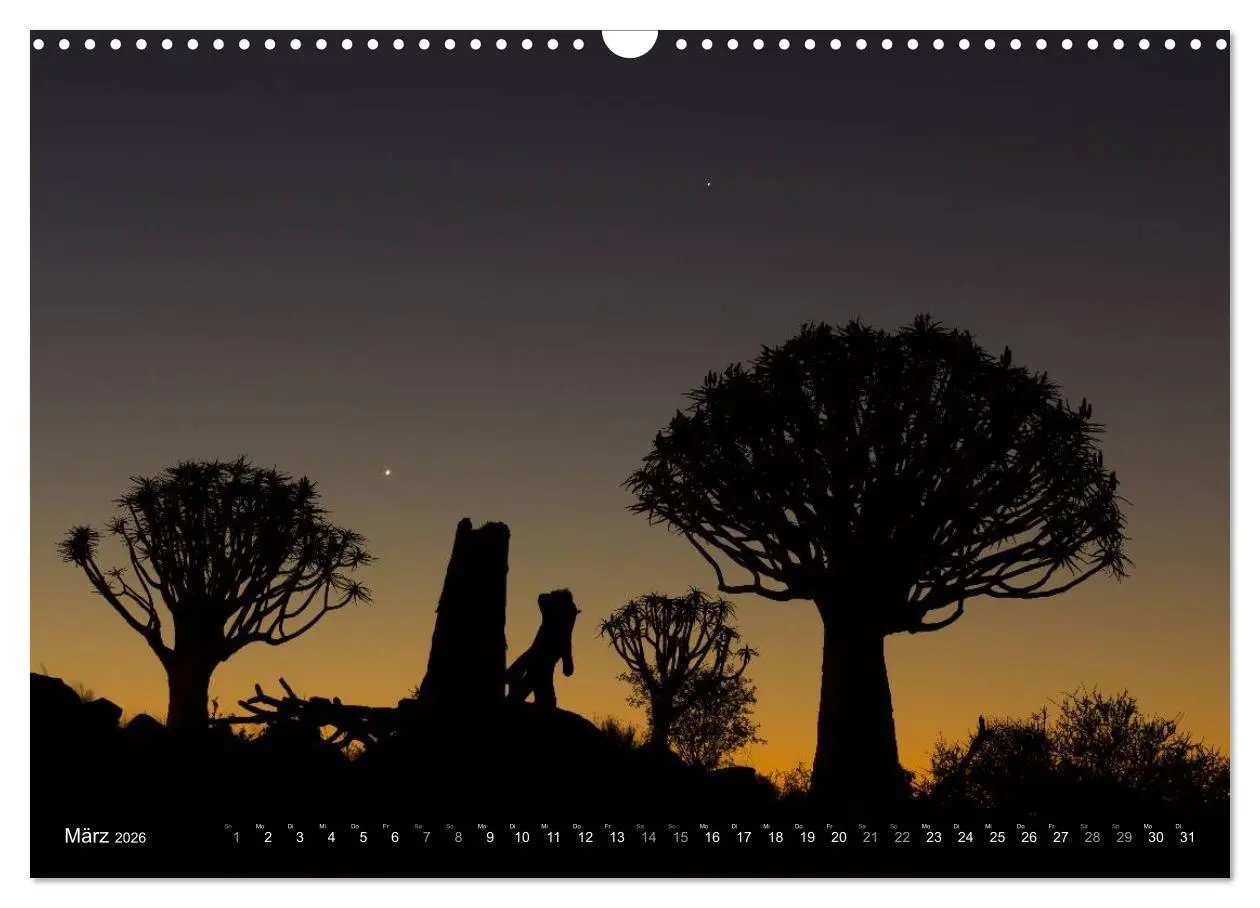 Bild: 9783516159936 | Wildes Namibia (Wandkalender 2026 DIN A3 quer), CALVENDO...