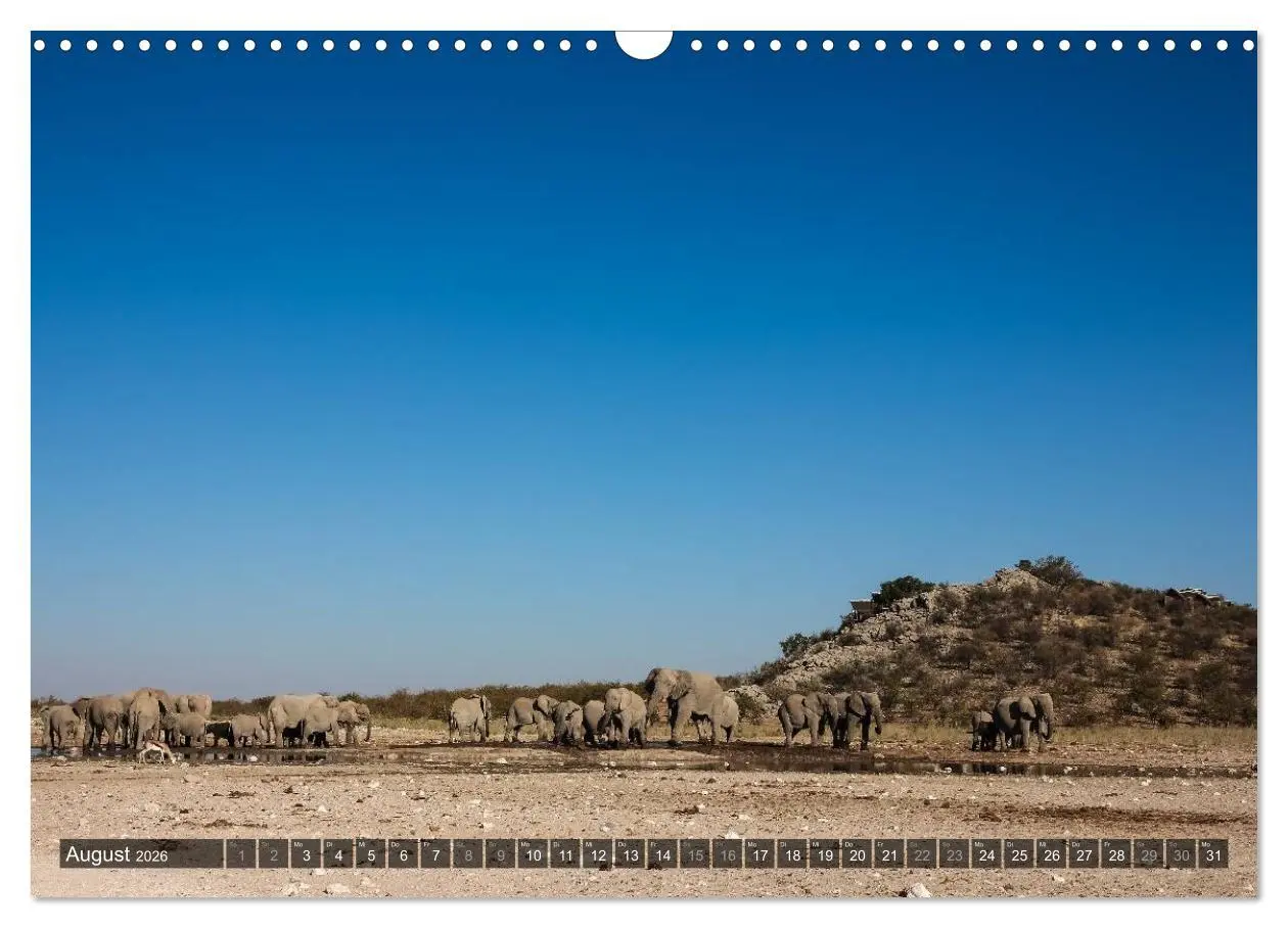 Bild: 9783516159936 | Wildes Namibia (Wandkalender 2026 DIN A3 quer), CALVENDO...