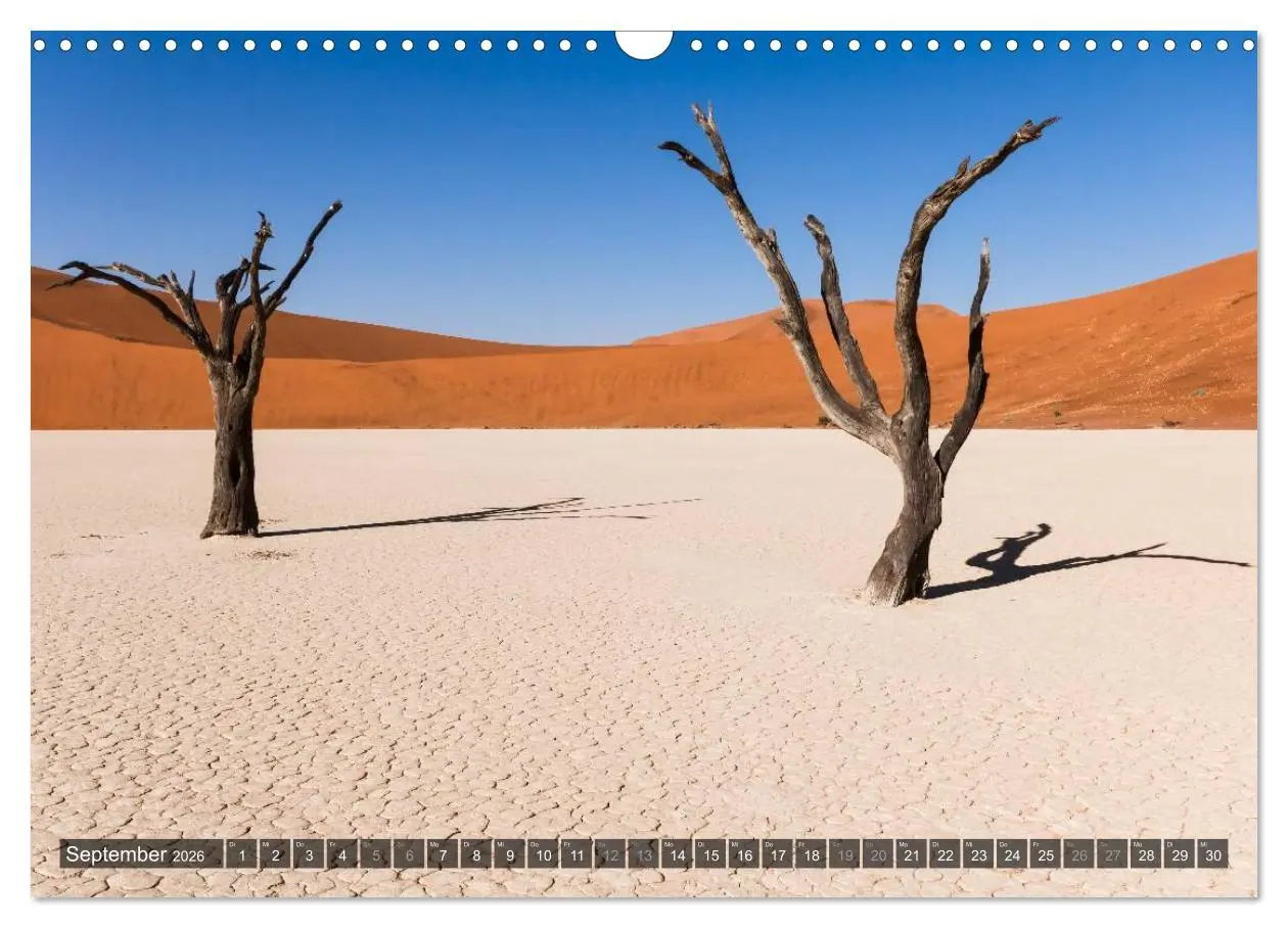 Bild: 9783516159936 | Wildes Namibia (Wandkalender 2026 DIN A3 quer), CALVENDO...