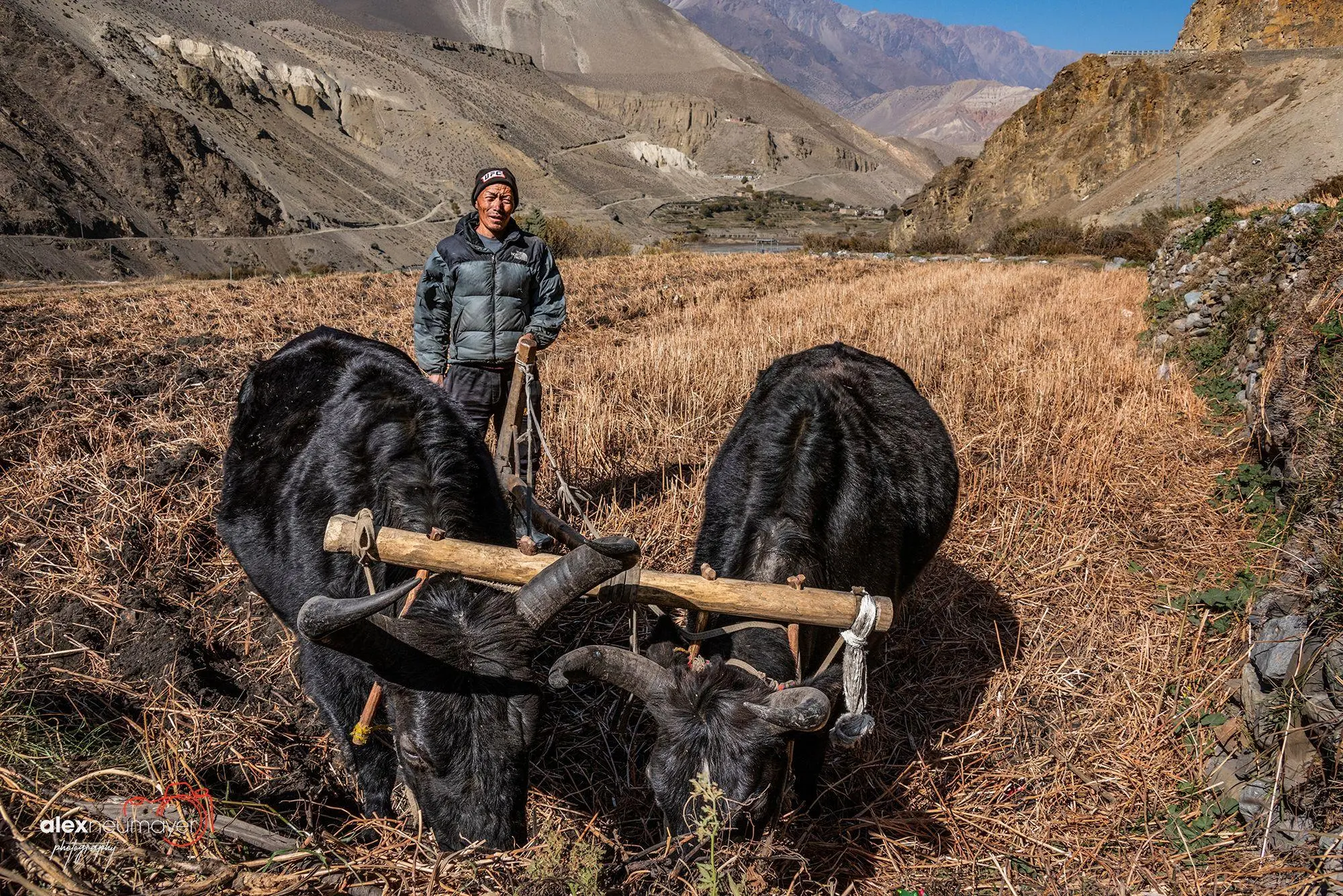 Bild: 9783959619936 | Nepal. Das Kochbuch | Angkana Sirisaeng | Buch | 240 S. | Deutsch