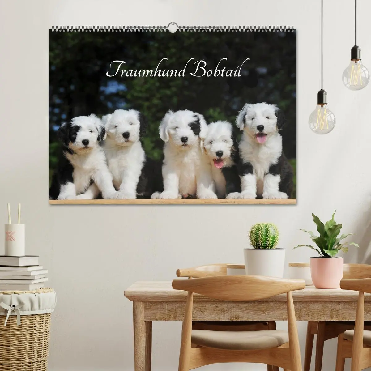 Bild: 9783516030037 | Traumhund Bobtail (Wandkalender 2026 DIN A2 quer), CALVENDO...