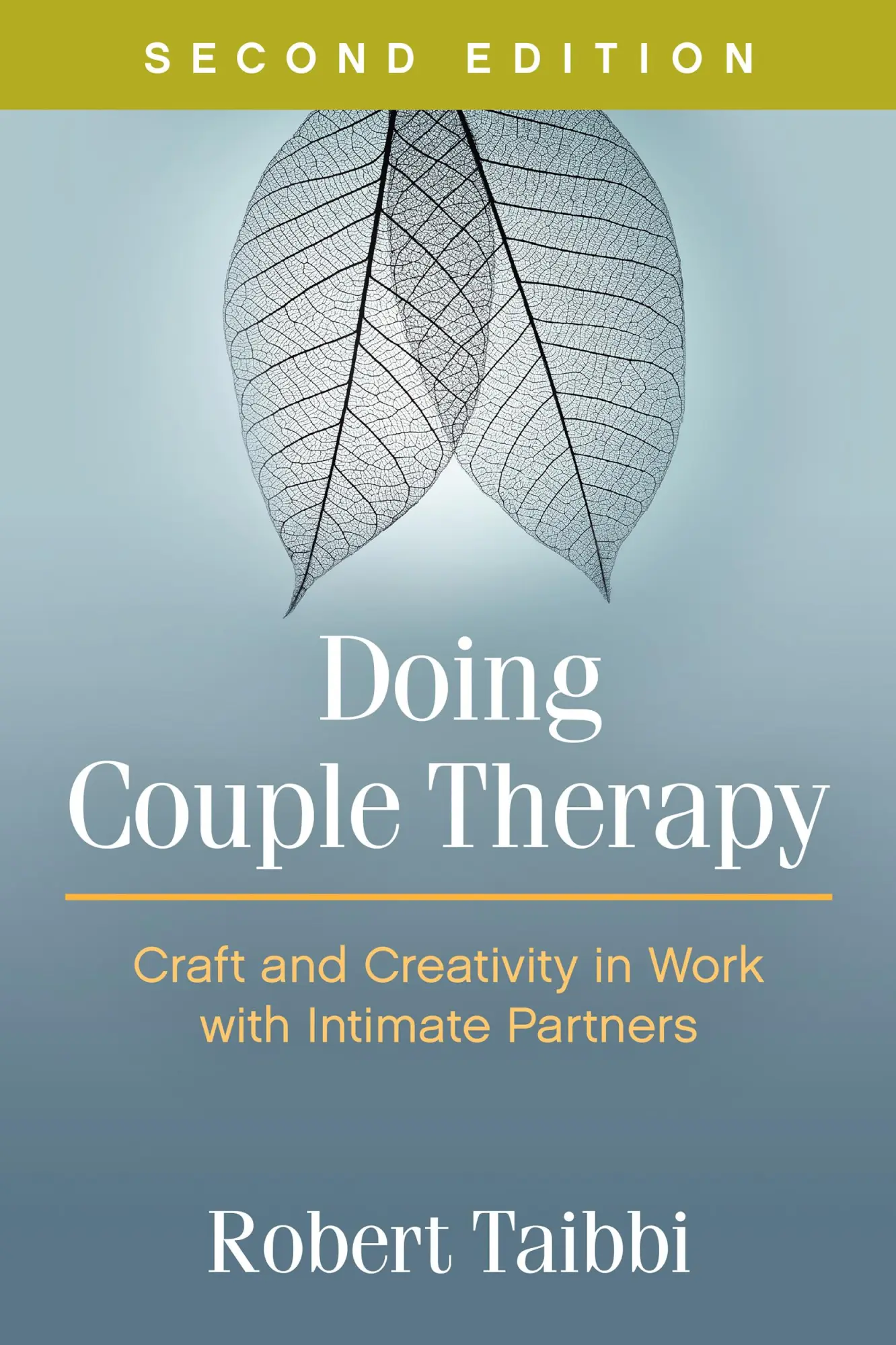 Cover: 9781462530137 | Doing Couple Therapy | Robert Taibbi | Taschenbuch | Englisch | 2017