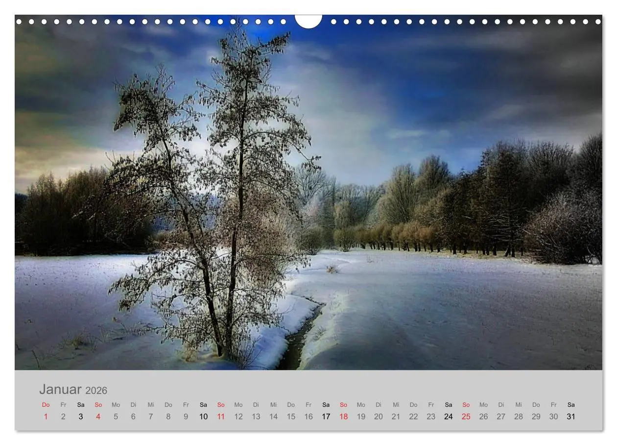 Bild: 9783516190137 | Braunschweig (Wandkalender 2026 DIN A3 quer), CALVENDO Monatskalender