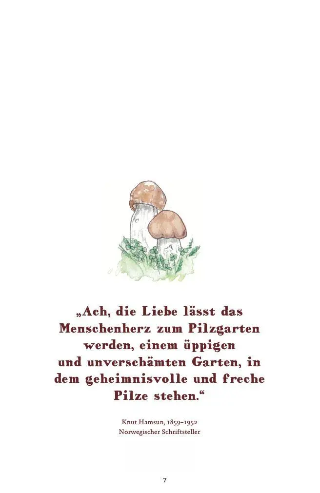 Bild: 9783985080137 | Die häufigsten Pilze der deutschen Mittelgebirge leicht bestimmen