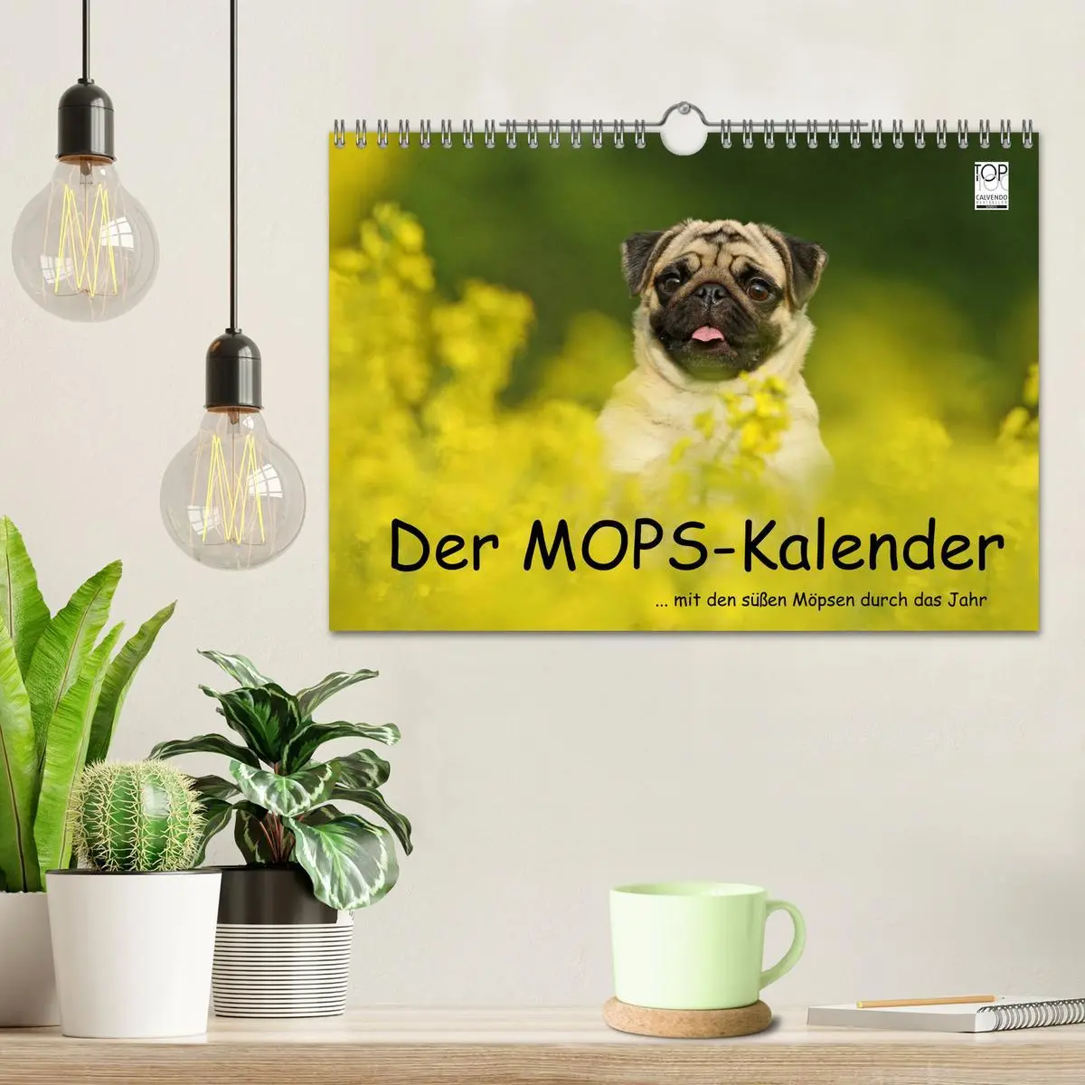 Bild: 9783516170337 | Der MOPS-Kalender (Wandkalender 2026 DIN A4 quer), CALVENDO...