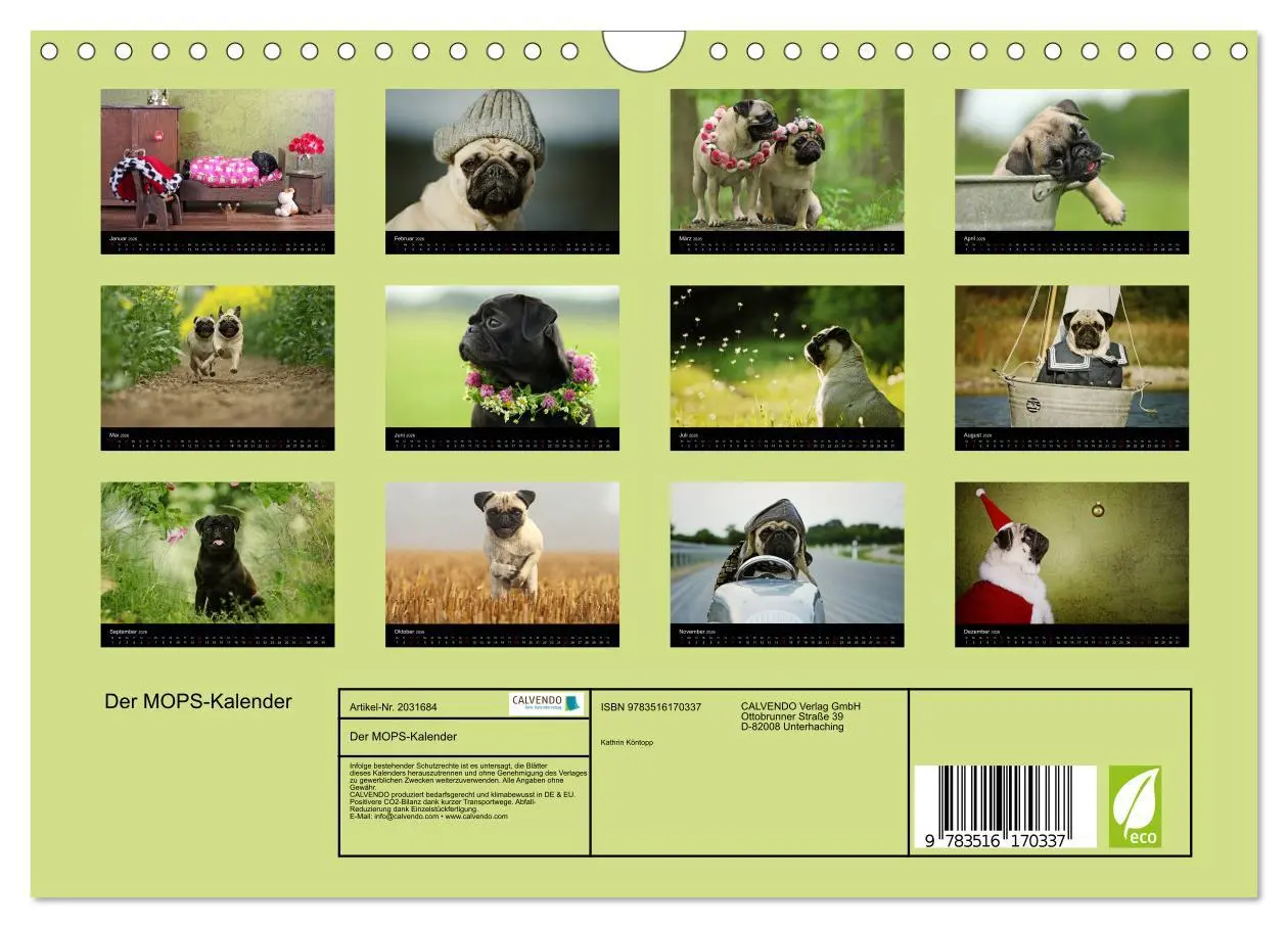 Bild: 9783516170337 | Der MOPS-Kalender (Wandkalender 2026 DIN A4 quer), CALVENDO...