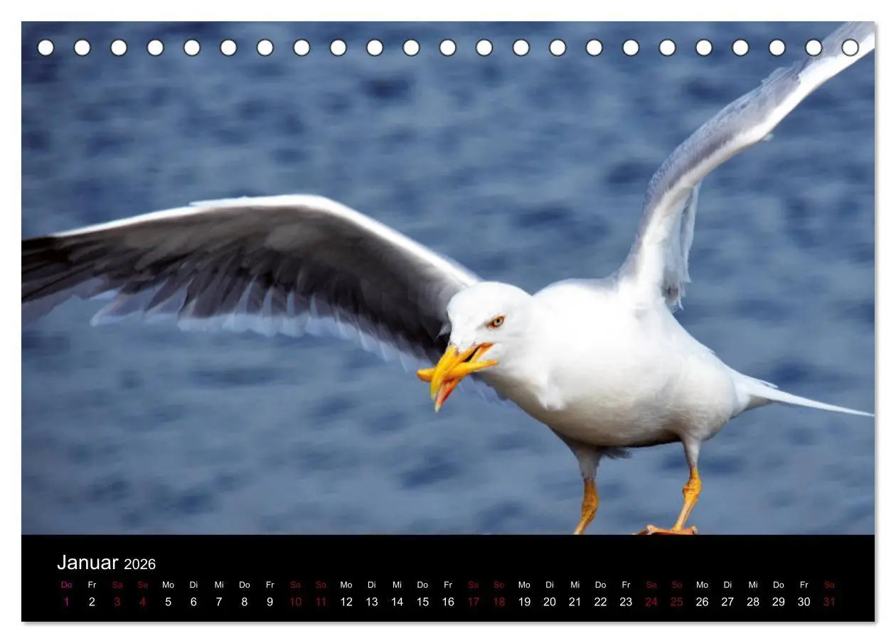 Bild: 9783457830437 | Segelsommer - Dänische Südsee (Tischkalender 2026 DIN A5 quer),...