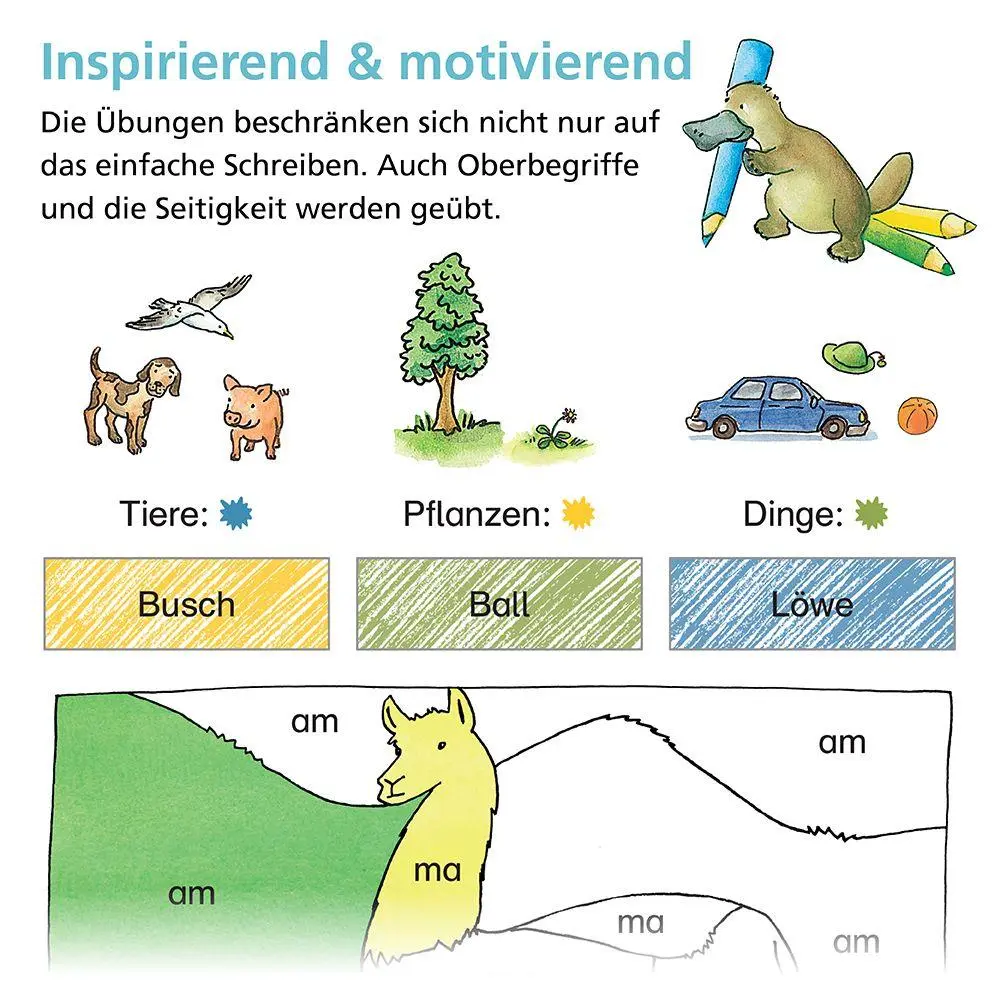 Bild: 9783619120437 | Rechtschreiben mit Rico Schnabel, Klasse 1 - silbierte Ausgabe | Buch
