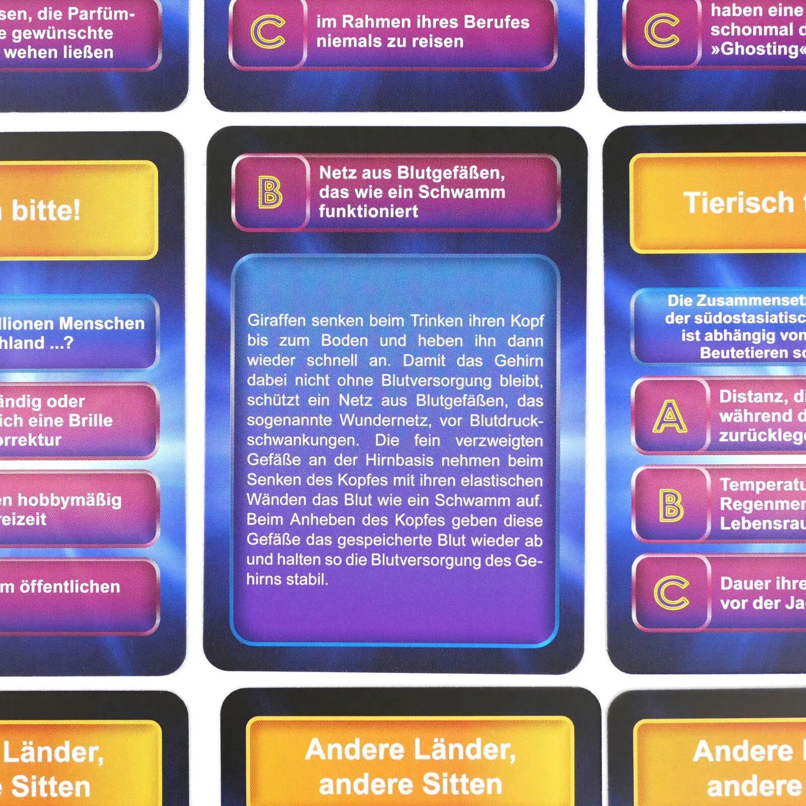 Bild: 9783742330437 | Wer weiß denn sowas? 7 - Das Quiz zur beliebten Wissensshow im Ersten