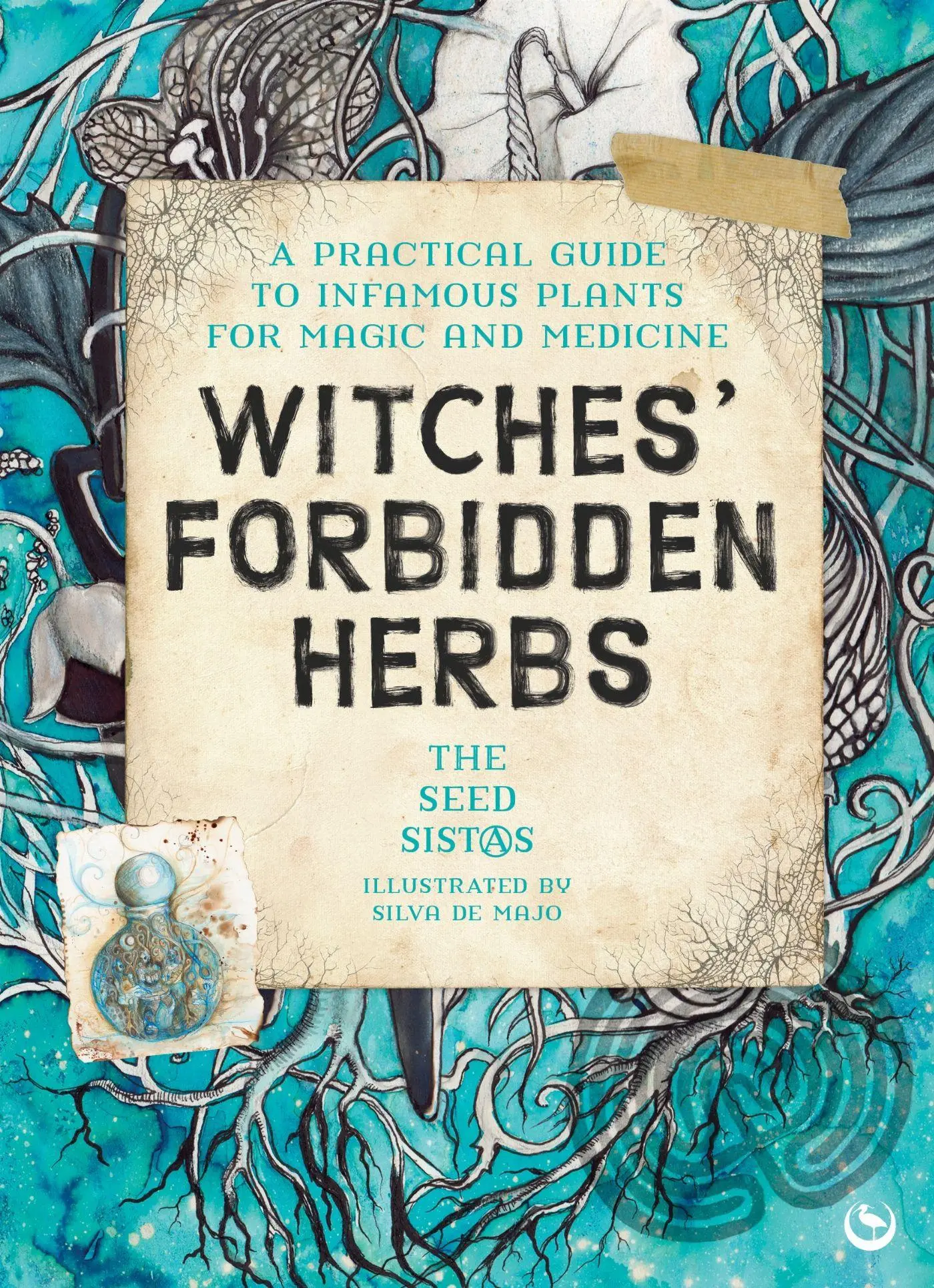 Cover: 9781836810537 | Witches' Forbidden Herbs | The Seed Sistas | Taschenbuch | Englisch