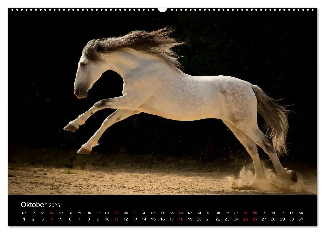 Bild: 9783516080537 | Spaniens stolze Pferde (hochwertiger Premium Wandkalender 2026 DIN...
