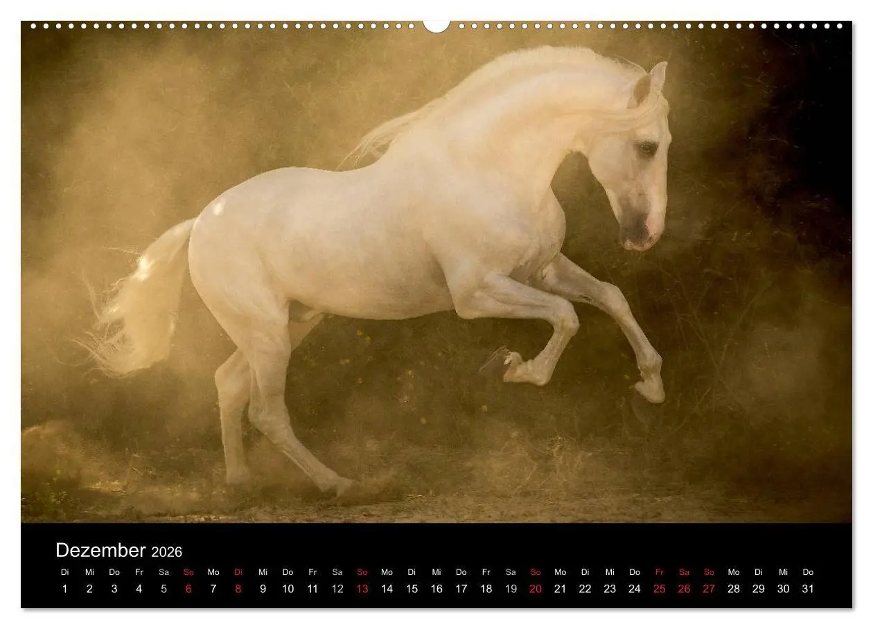 Bild: 9783516080537 | Spaniens stolze Pferde (hochwertiger Premium Wandkalender 2026 DIN...