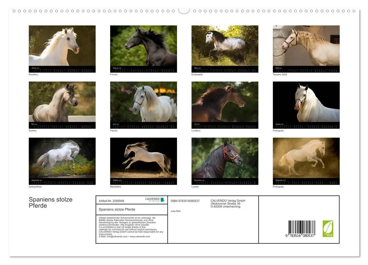 Bild: 9783516080537 | Spaniens stolze Pferde (hochwertiger Premium Wandkalender 2026 DIN...