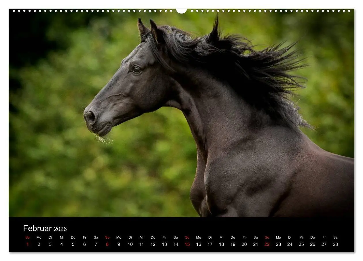 Bild: 9783516080537 | Spaniens stolze Pferde (hochwertiger Premium Wandkalender 2026 DIN...