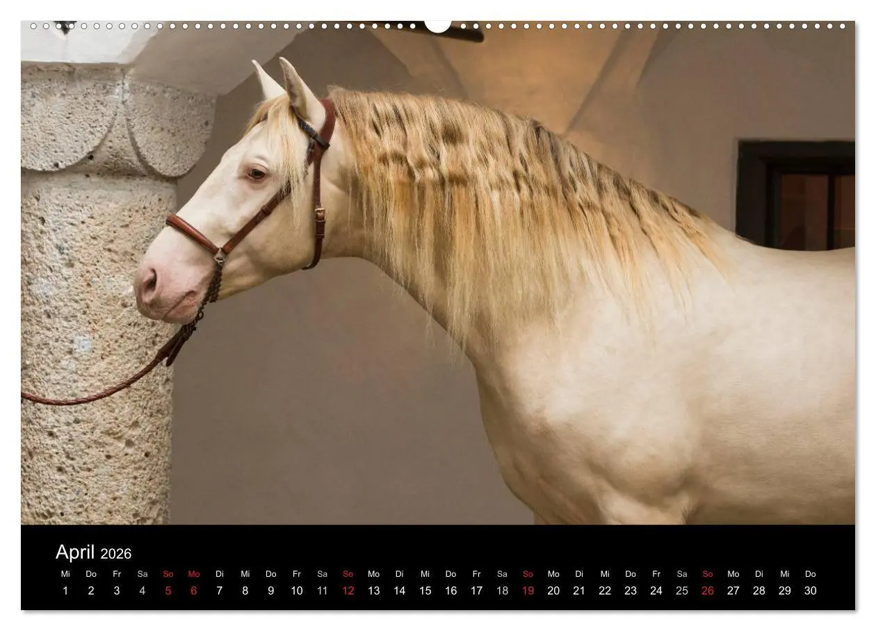 Bild: 9783516080537 | Spaniens stolze Pferde (hochwertiger Premium Wandkalender 2026 DIN...