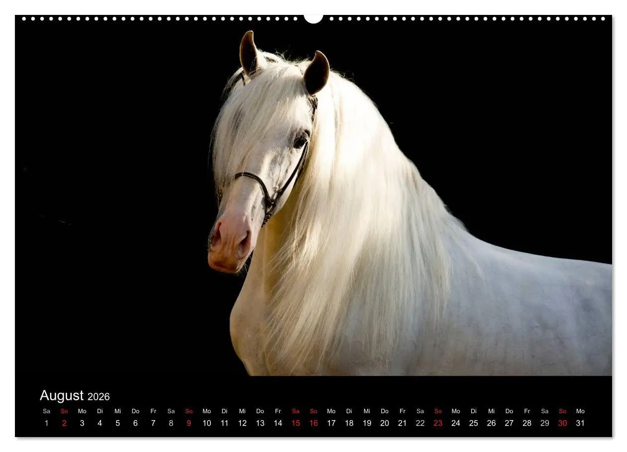 Bild: 9783516080537 | Spaniens stolze Pferde (hochwertiger Premium Wandkalender 2026 DIN...