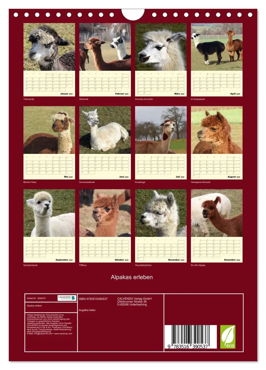 Bild: 9783516390537 | Alpakas erleben (Wandkalender 2026 DIN A4 hoch), CALVENDO...