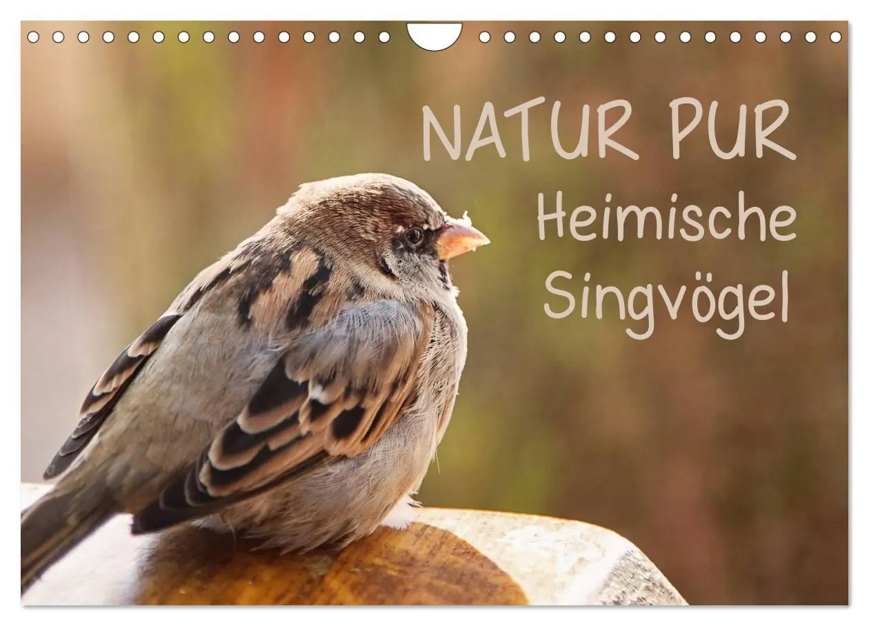 Cover: 9783516070637 | NATUR PUR Heimische Singvögel (Wandkalender 2026 DIN A4 quer),...