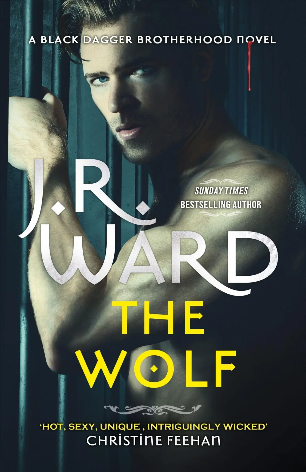 Cover: 9780349430737 | The Wolf | J. R. Ward | Taschenbuch | Kartoniert / Broschiert | 2022