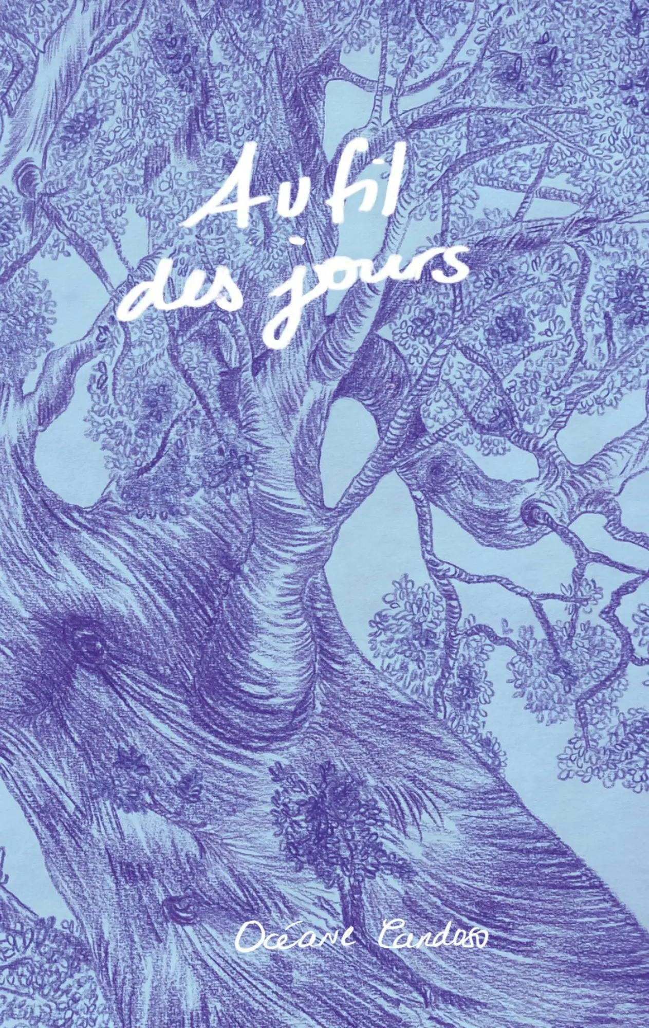 Cover: 9782322570737 | Au Fil Des Jours | Océane Cardoso | Taschenbuch | Französisch | 2025