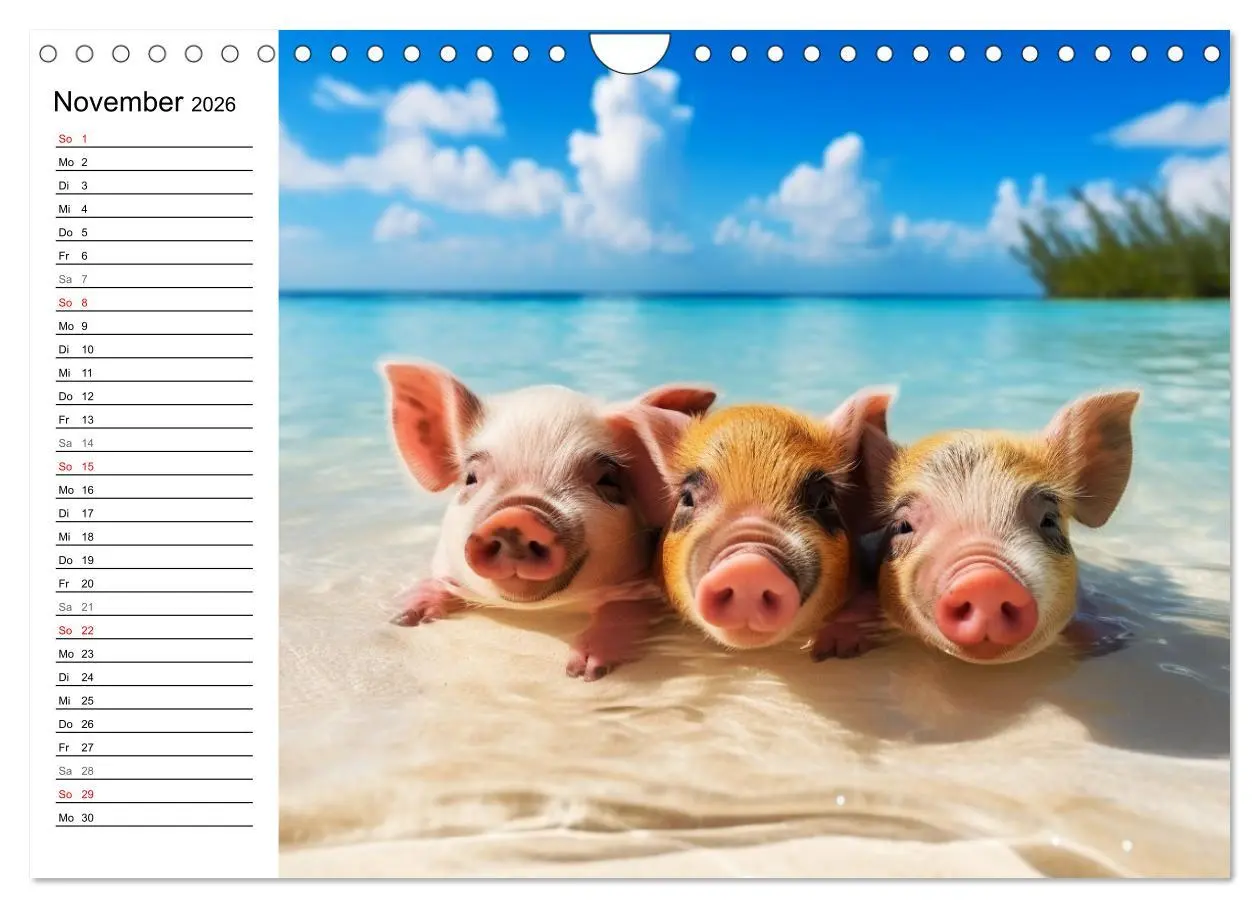 Bild: 9783457350737 | Schweinereien in der Karibik. Sonne und Spaß mit schwimmenden...