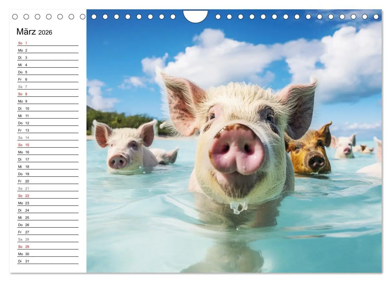 Bild: 9783457350737 | Schweinereien in der Karibik. Sonne und Spaß mit schwimmenden...